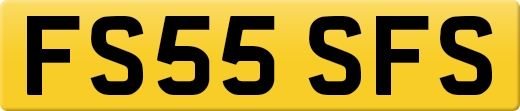 FS55SFS